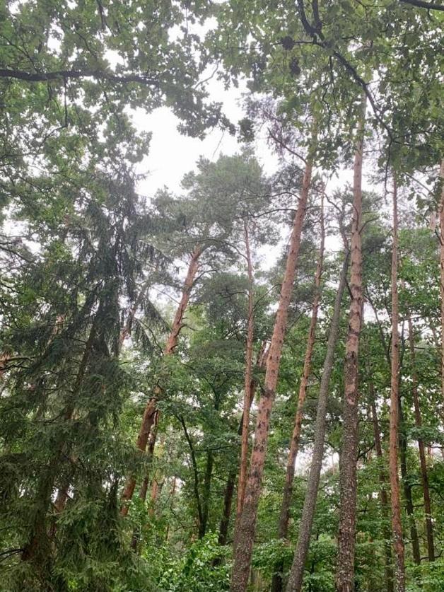 Chata Roudna Klenovice  Bagian luar foto